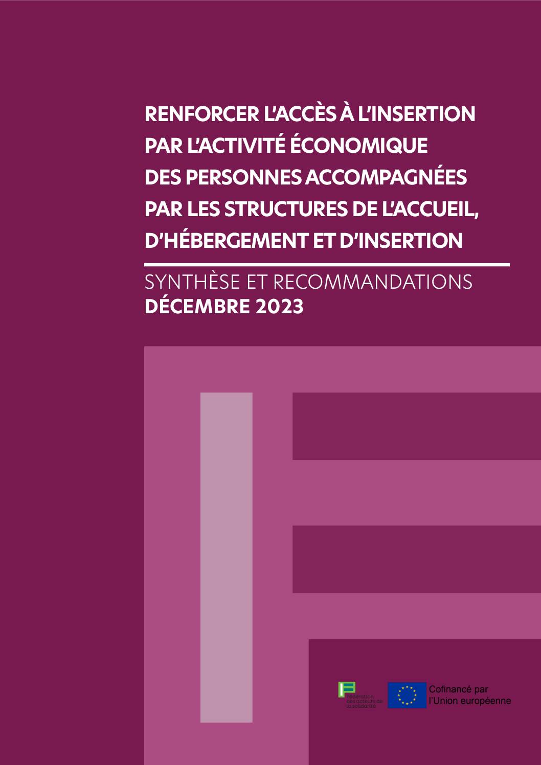 Synthèse et recommandations FAS AHI-IAE